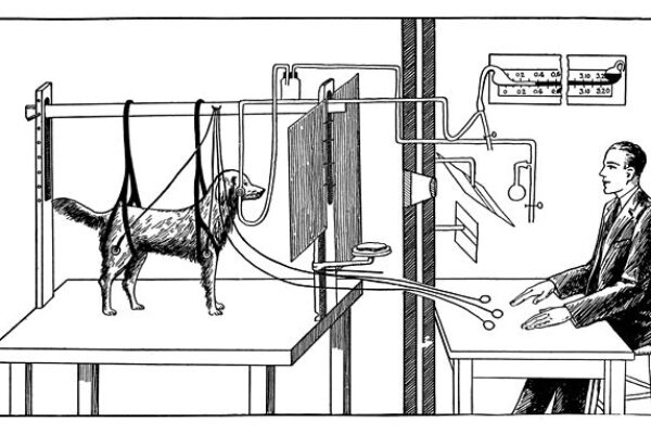In de psychologie gaat men ervan uit dat veel gedrag is aangeleerd. Ook verslavingsgedrag wordt door menig verslavingsdeskundige gezien als aangeleerd gedrag.
