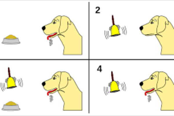 Verslaving als aangeleerd gedrag